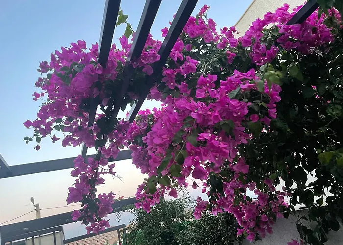 Havuzlu Full Esyali Lueks
