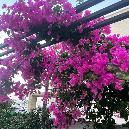 Havuzlu Ve Jakuzili Full Esyali Lueks * Bodrum
