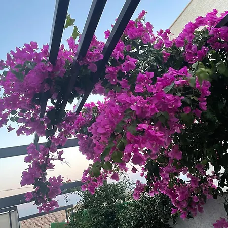 Havuzlu Full Eşyalı Lüks