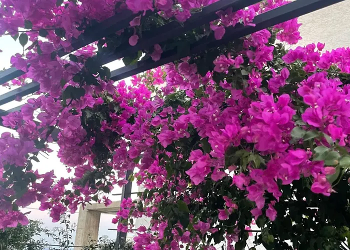 Havuzlu Full Esyali Lueks * Bodrum